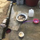 행복 낚시터 이미지