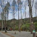 비발디 캠핑파크 | 홍천 캠핑장 비발디캠핑파크 본점 타프존 후기