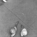 쓰담쓰담 동물병원 이미지