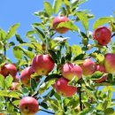 고양어울림누리 이미지