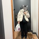 버스정류장 07-326 | [뉴욕 11박 13일] #2 뉴욕 ↔️ 보스턴 죽음의 당일치기(but Possible...) 자유 여행 루트(Flix Bus...