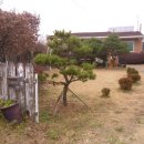 용인시원암보건진료소 이미지