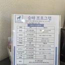 재하목장 네이버블로그