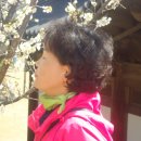 오수면사무소 이미지