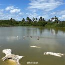 김태진농장 | [남미여행 7개국 45일 후기 10] 2026년 3월 남미를 손안에!▶ 갈라파고스 3