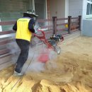 왕선초교병설 이미지