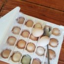 아주-0045 이미지