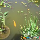 해상공원 이미지