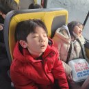 용인대 타이곤 프렌즈 태권도장 이미지