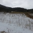 복평농장 이미지