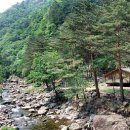 숲속으로 이미지