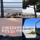 물치해수욕장 화장실 | 강원도 고성 속초 양양 차박지 명당 자리 바다뷰 차크닉 장소 4곳 추천 위치 공유
