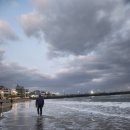 이호로 99 이미지