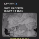 아뻐의 코골이 소리에 개빡친 아기👶🏻 이미지