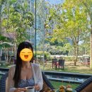 [태국 치앙마이] 낚였다 kkday 케이케이데이 비추 샹그릴라 애프터눈티 후기