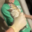 죠스실내낚시터 이미지