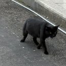 필레오트윈파크2동 이미지