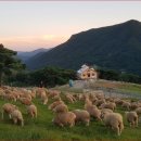 장미목장 이미지