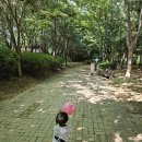 세아 세탁 이미지