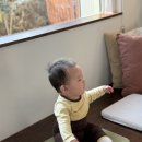 비앤비스테이 | 제주 아기랑 숙소 에어비앤비 스테이망고 내돈내산 후기 - 제주 돌전 아기 남원 숙소