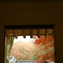차경 이미지