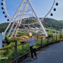 옹기종기밥상 | [여수 남해 하동 2박3일 여행 코스](1일차) - 오동도 동백열차 꿀팁과 순이네밥상 솔직후기
