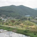 지천생태공원 이미지