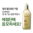 트루에코 네이버블로그