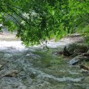 금잔디상회 이미지