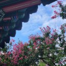 정자나무공원 이미지