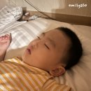 제주여행 2일차 - 소랑사진관/돌집식당/오드랑베이커리