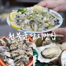 돼지네수산 | 보령 천북굴단지 맛집 생굴 굴찜 충남 가볼만한곳 돼지네굴수산