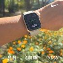 장유체육공원 다목적경기장 | 22회 경남마라톤 첫 10km 마라톤 후기