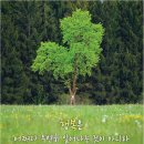 행복예감 이미지