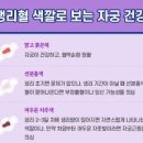 생리 색깔로 보는 건강 (피 덩어리, 갈색혈, 검은피) 이미지