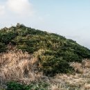 구좌 해안도로 이미지