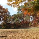 부소산성 서복사지 이미지