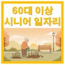 2025 시니어 일자리 지원금, 60세 이상을 위한 완벽 가이드