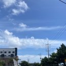 어멍민박 | 제주도 2박3일 후기(w.연두)