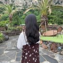 단델리온헤어살롱