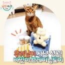 바잇미 | 다묘가정 필수템 고양이 장난감! 강아지 노즈워크 바잇미 브레이닝토이 솔직후기