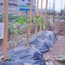 준상농장 이미지