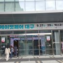 대구 엑스코에서 하는 2024년 케이펫페어대구입니다 이미지