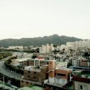 서림동-44 이미지