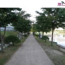 망정지 이미지