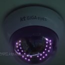 보은헤어 이미지
