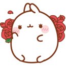 대청약국 이미지