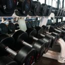 파란짐휘트니스 이미지