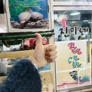 진이네조삼포 이미지