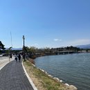 20년전통두부전문집 | 고향산천초당순두부 차돌순두부전골 경포해변 1인 가성비 맛집 식당 후기